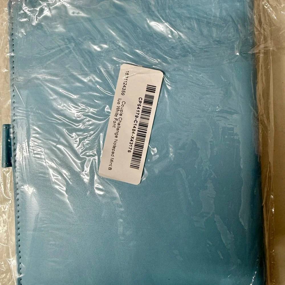 100 Envelope Savings Challenge Binder ~ Carolina Blue